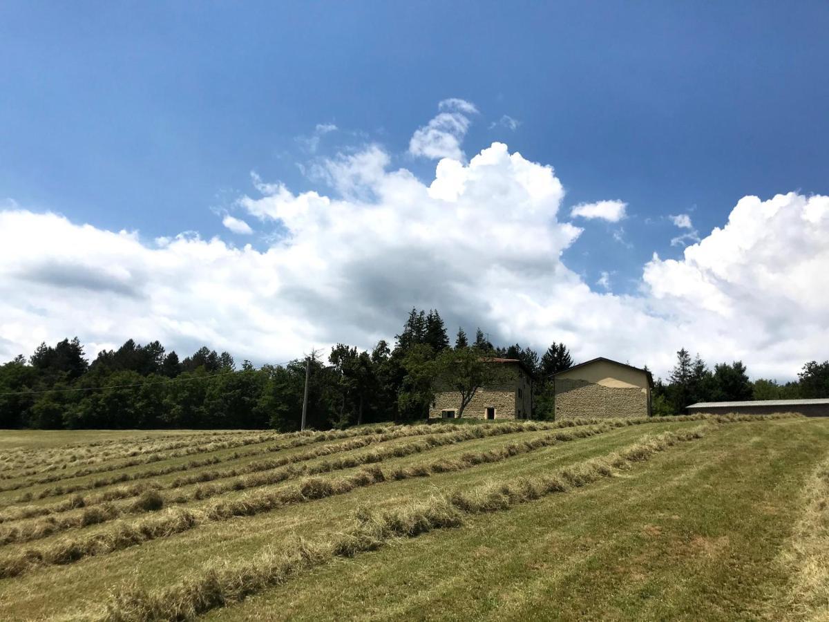 Agriturismo Il Casone San Benedetto Val di Sambro Kültér fotó
