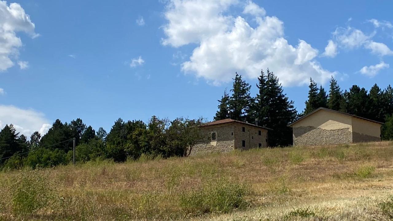 Agriturismo Il Casone San Benedetto Val di Sambro Kültér fotó