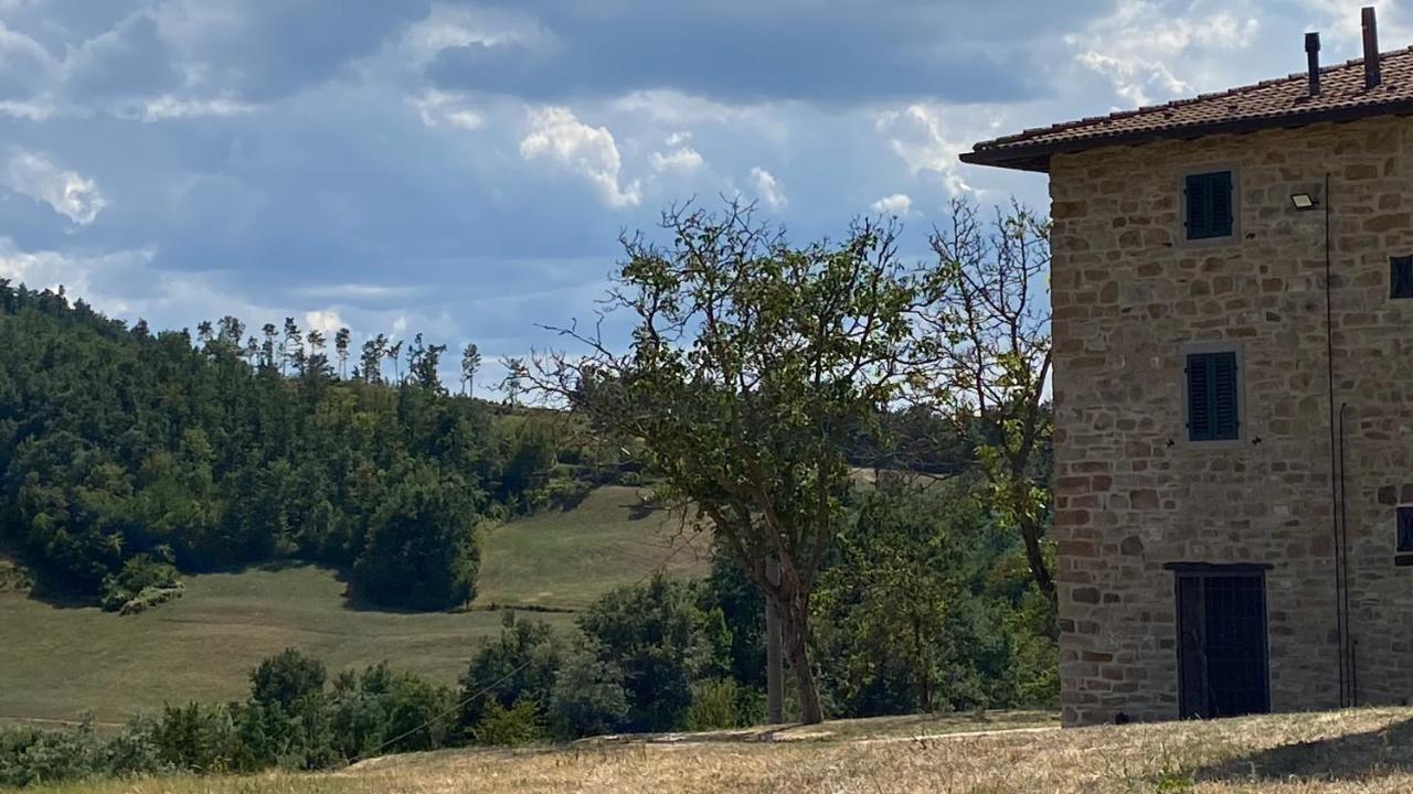 Agriturismo Il Casone San Benedetto Val di Sambro Kültér fotó